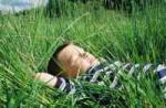 Lying Grass